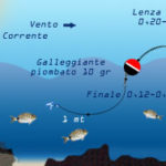 Pesca al Sarago dalla Scogliera