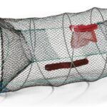 Nassa per Pescare - Come Scegliere e Prezzi